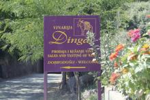 Dingać