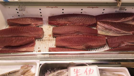tuna sahimi